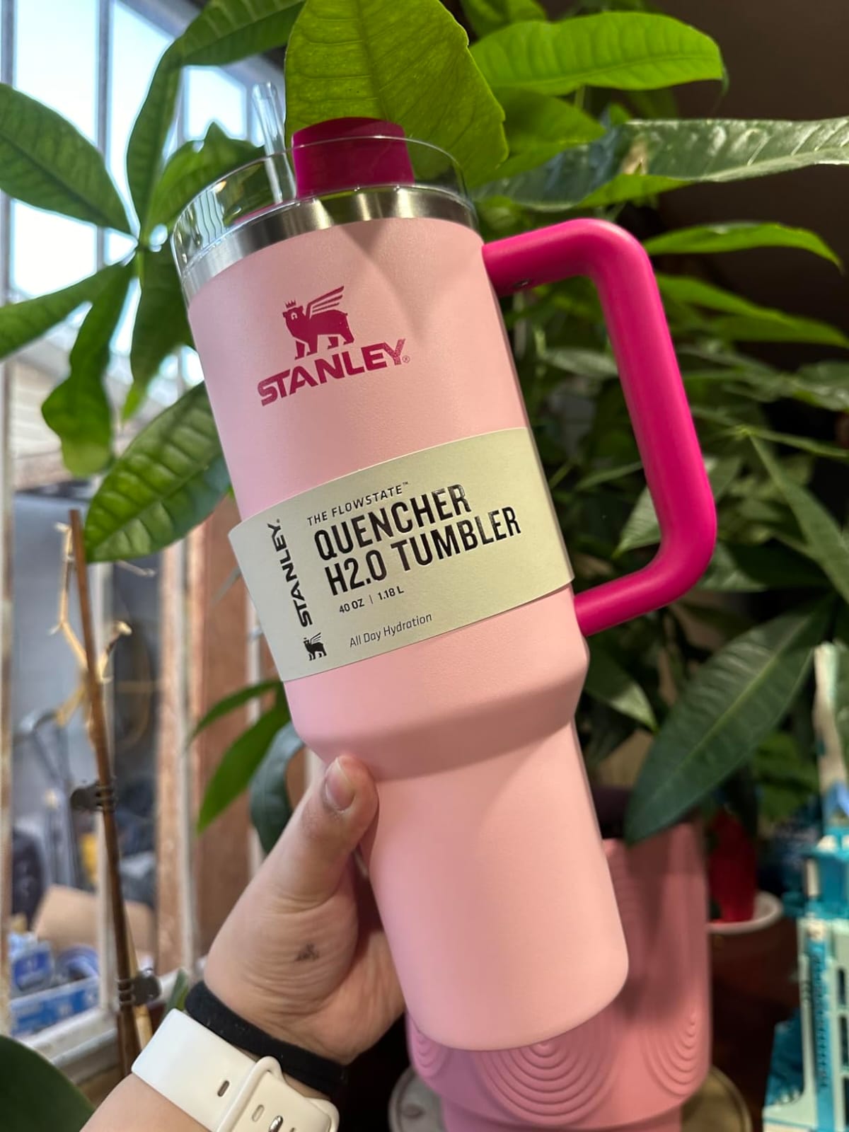 Bundle (Labubu Doll & Stainley Tumbler)